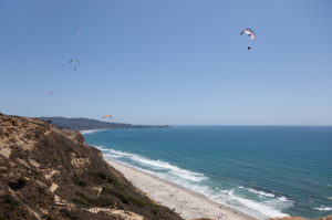 Nice photo of Paragliders over Torrey Pines