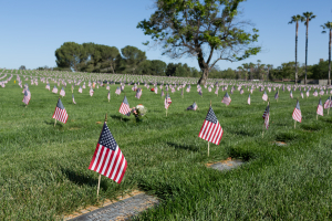 Nice photo of Memorial Day Riverside National Cemetery