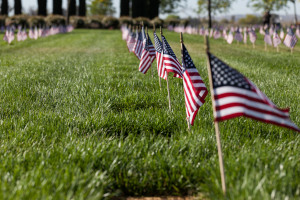 Nice photo of Memorial Day Riverside National Cemetery