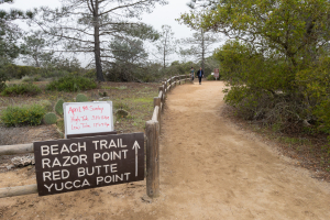Nice photo of Torrey Pines Beach Trail