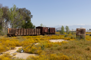 Nice photo of Southern California Railway Museum