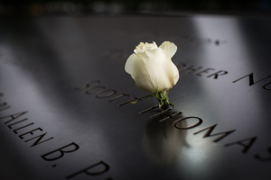 Nice photo of National September 11 Memorial
