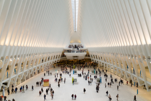 Nice photo of Oculus Transportation Hub World Trade Center