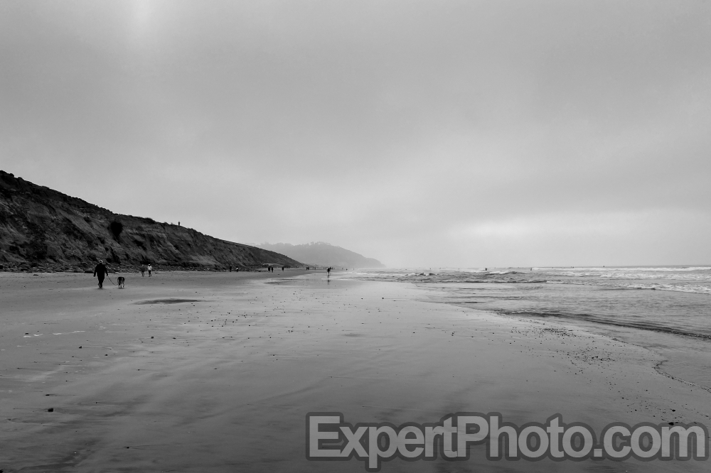 Nice photo of Torrey Pines in the Fog