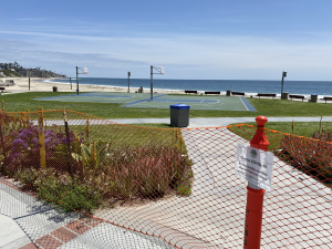 Nice photo of Laguna Beach Quarantine Signs