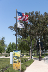 Nice photo of American Flag and Old Town Temecula Flag