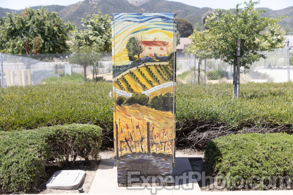 Nice photo of Old Town Temecula Utility Box Art Project