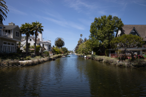Nice photo of Venice Canals Venice California
