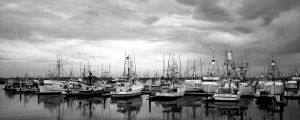 Nice photo of Fishing Boats Tuna Harbor San Diego Bay