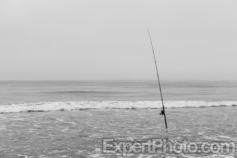 Nice photo of Fishing Pole Torrey Pines