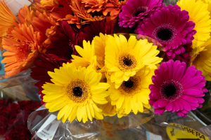 Nice photo of Flowers at Trader Joes