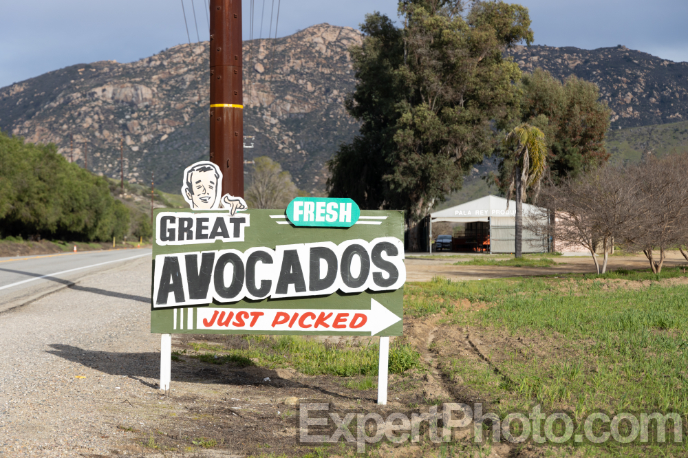 Nice photo of Fresh Avocados Pala California