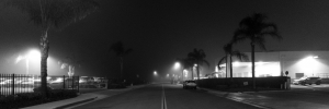 Nice photo of Early Morning Calm