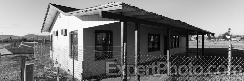 Nice photo of Car Cats