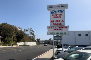 Nice photo of Duffy Electric Boats Sales and Rentals