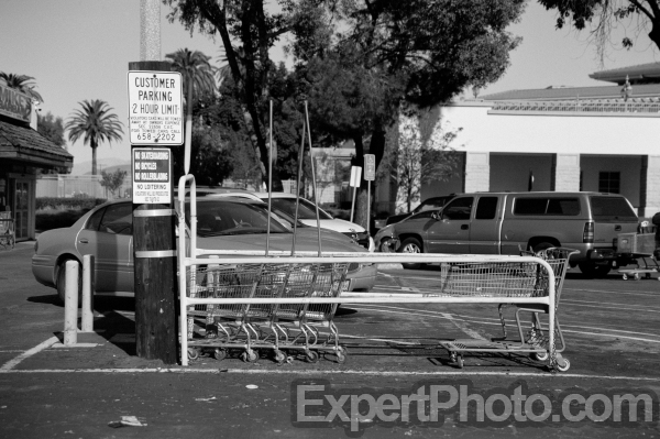 Photo for Metadata display