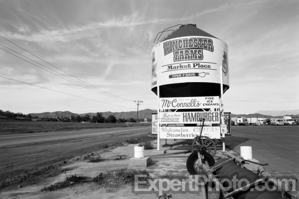 Photo for Metadata display