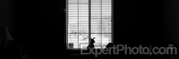 Photo for Metadata display