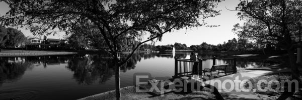 Photo for Metadata display