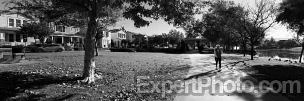 Photo for Metadata display