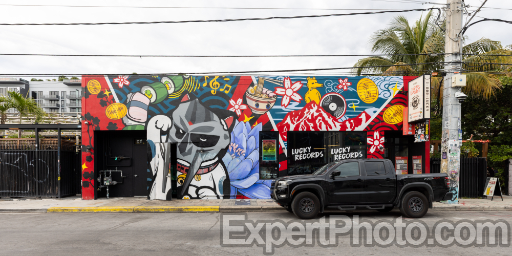 Nice photo of Wynwood Miami