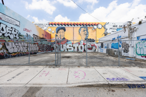 Nice photo of Wynwood Miami