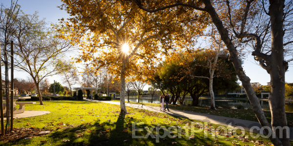 Photo for Metadata display