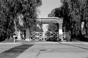 Nice photo of Hemet Stock Farm