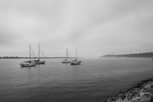 Nice photo of Sailboats in San Diego Bay