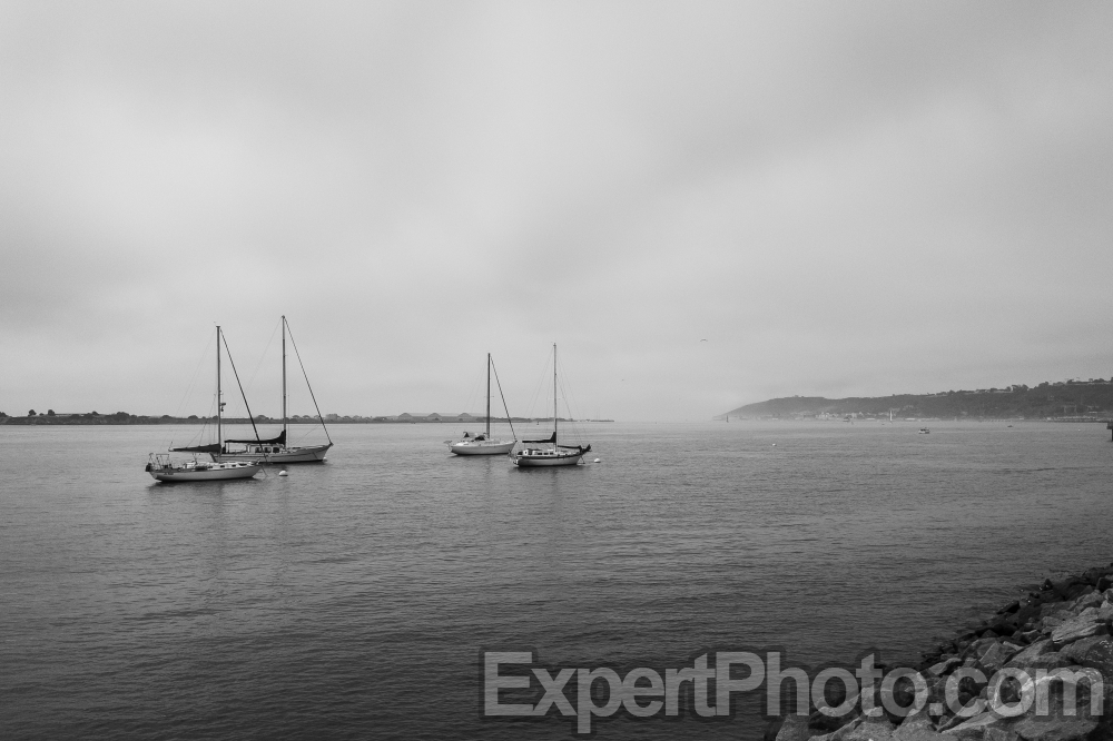 Nice photo of Sailboats in San Diego Bay