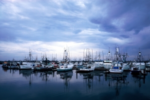 Nice photo of San Diego Fishing Boats