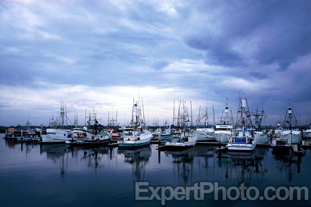 Nice photo of San Diego Fishing Boats