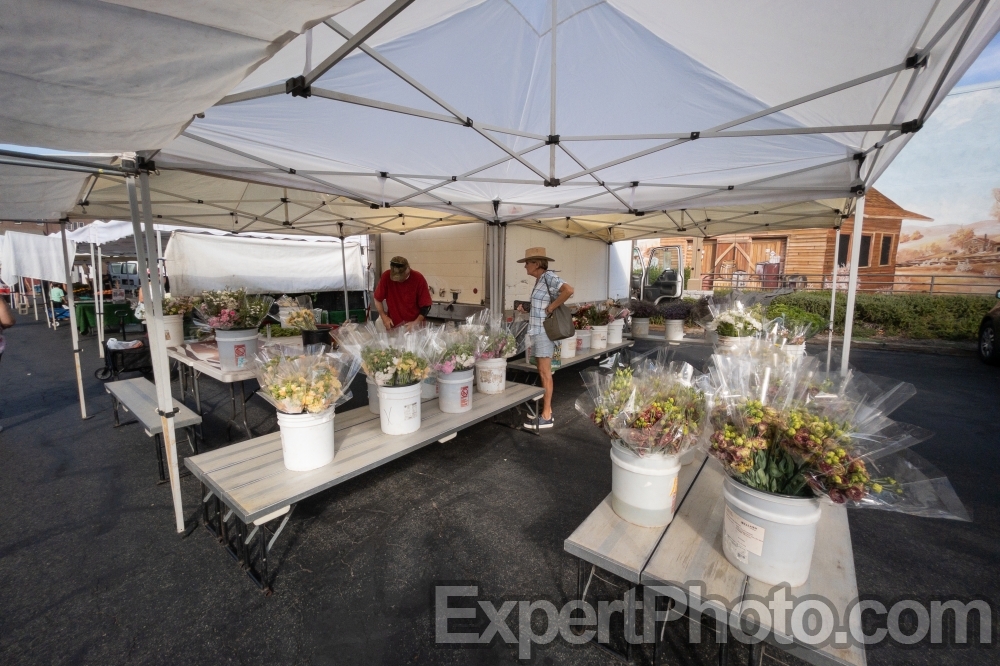 Nice photo of Flower Shopping at the Temecula Farmers Market