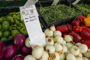 Nice photo of Onions for sale at the Temecula Farmers Market
