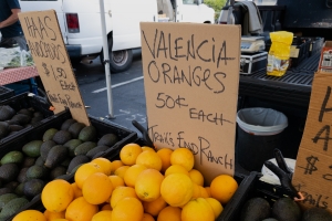 Nice photo of Valencia Oranges for sale at the Temecula Farmers Market
