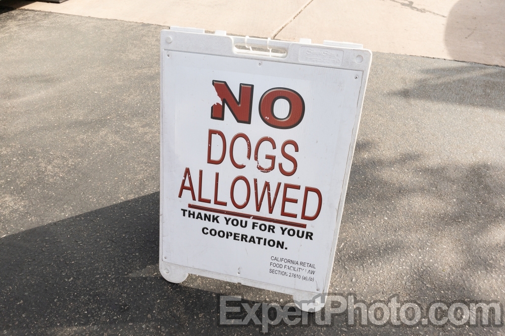Nice photo of No Dogs Allowed at the Temecula Farmers Market