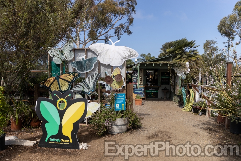 Nice photo of Butterfly Farms Entrance