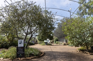 Nice photo of Butterfly Farms Vivarium