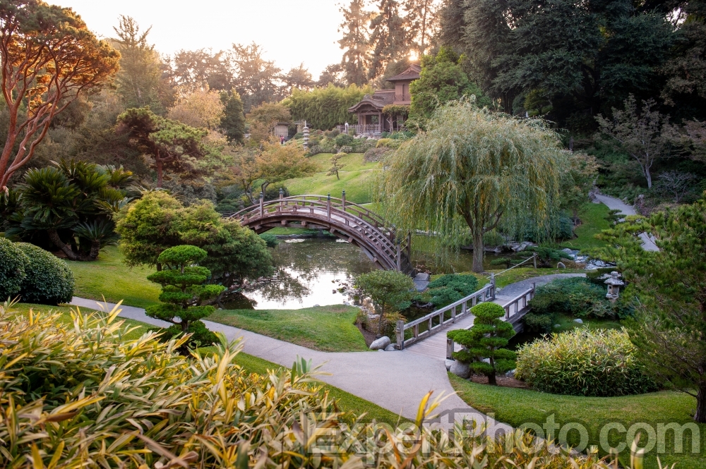 Nice photo of The Huntington Japanese Garden