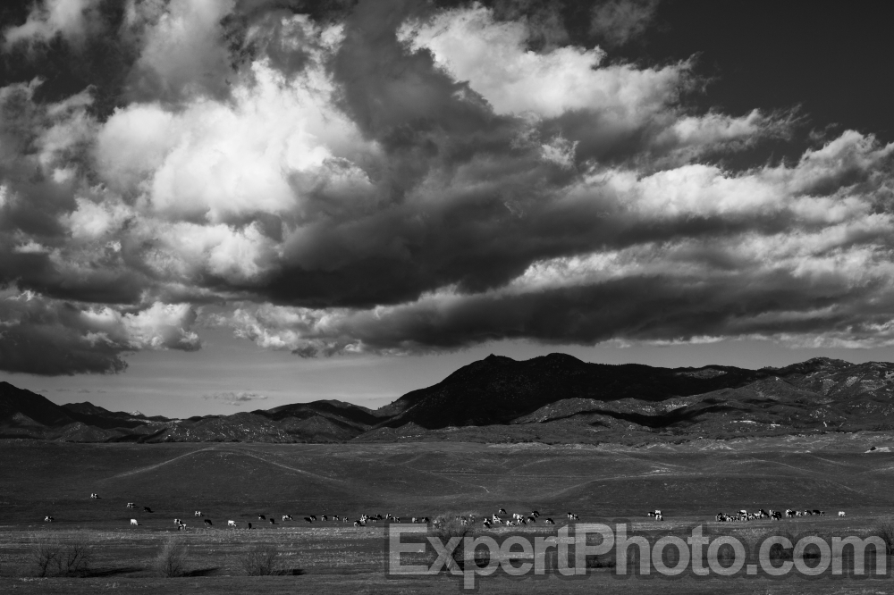 Nice photo of Warner Springs Cow Pasture