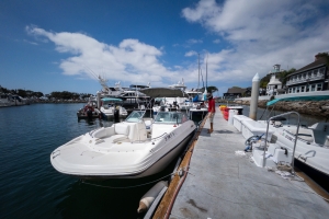 Nice photo of Seaforth Boat Rentals San Diego