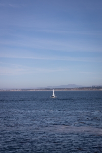 Nice photo of Sailboat in Monterey Harbor