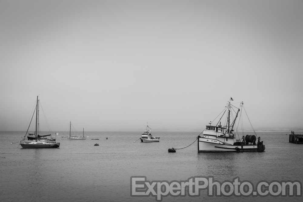 Nice photo of Fishing Boats in Monterey