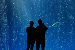 Nice photo of Monterey Bay Aquarium