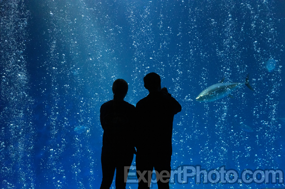 Nice photo of Monterey Bay Aquarium
