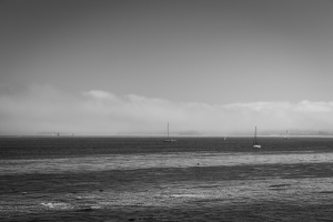 Nice photo of Sailboats on Monterey Bay